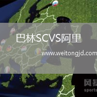巴林SCVS阿里
