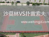 沙莫林VS撲雷索夫