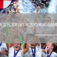 斯洛瓦茨科VS布杰約維采迪納摩