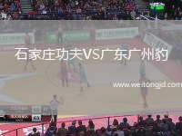 石家莊功夫VS廣東廣州豹