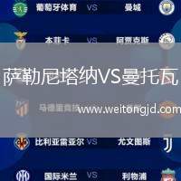 薩勒尼塔納VS曼托瓦
