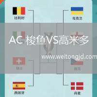 AC 梭魚VS高米多