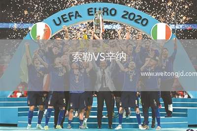 索勒VS辛納