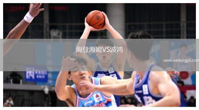 海登海姆VS波鴻
