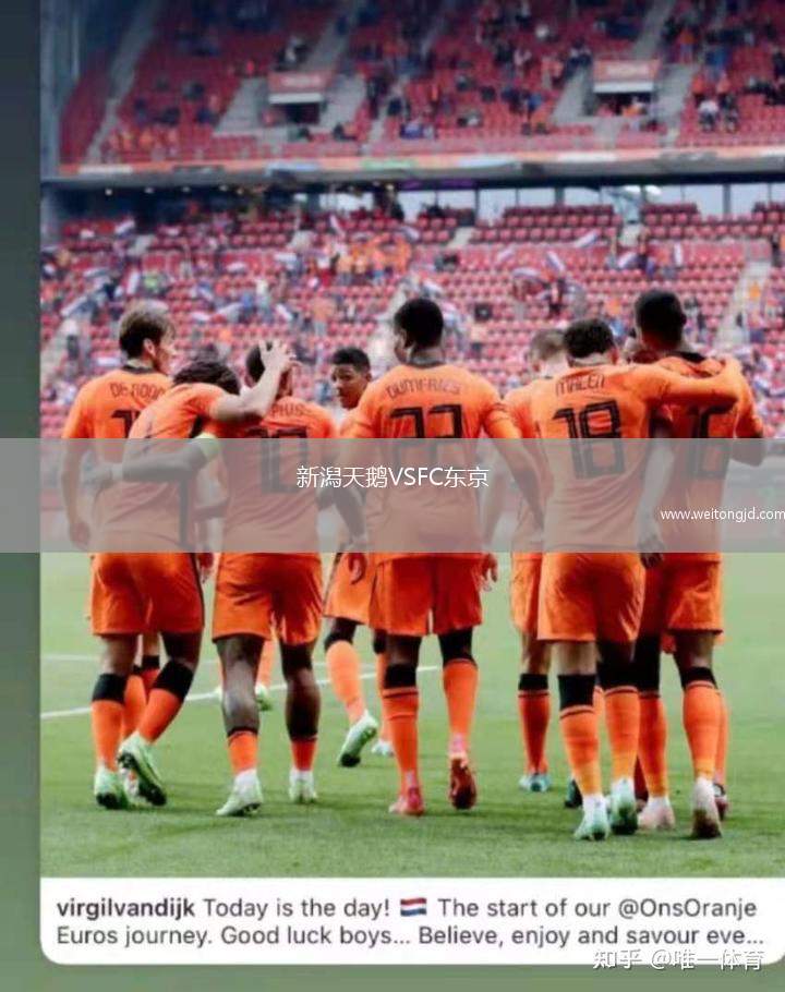 新潟天鵝VSFC東京