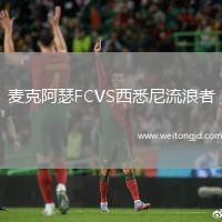 麥克阿瑟FCVS西悉尼流浪者