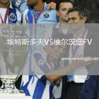 埃特斯多夫VS維爾茨堡FV