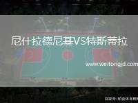 尼什拉德尼基VS特斯蒂拉