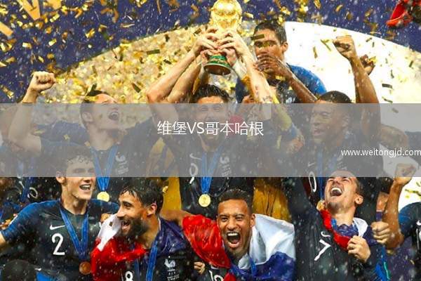 維堡VS哥本哈根