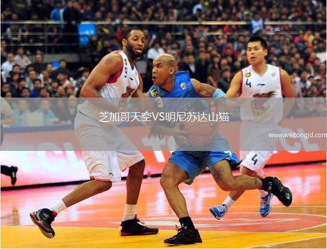 芝加哥天空VS明尼蘇達山貓