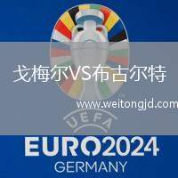 戈梅爾VS布古爾特