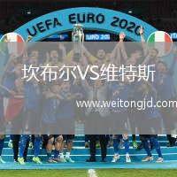 坎布爾VS維特斯