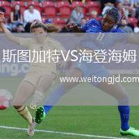 斯圖加特VS海登海姆