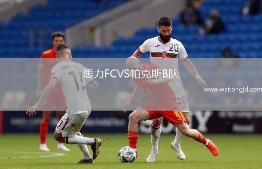 思力FCVS帕克斯B隊