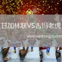 甘加林聯(lián)VS古瑪老虎