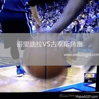哥里迪拉VS古泰斯魚雷