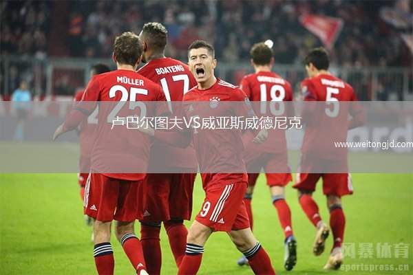 盧巴爾圖夫VS威亞斯威德尼克