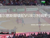 基爾塞斯眼鏡蛇VS埃爾特姆野貓
