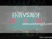 芬洛VS海牙