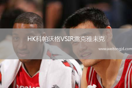 HK科帕沃格VSIR雷克雅未克