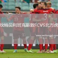坎特貝利班克斯敦FCVS北方虎