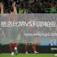格洛比納VS利耶帕亞