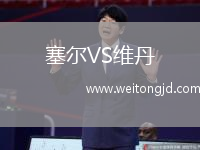 塞爾VS維丹