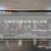 佐維耶茨基VS布龍拉多姆