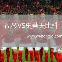 福琴VS史蒂夫比科