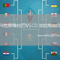 科拉度維拉巴VSCD 加拉帕加爾