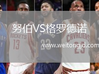 努伯VS格羅德諾