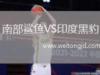 南部鯊魚VS印度黑豹