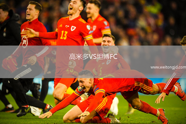 高米多VS坦博FC