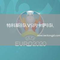 特科斯B隊VS內卡薩B隊