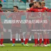 西南駭客VS羅金厄姆火焰