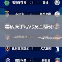 魯納沃丁城VS莫蘭德斑馬