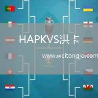 HAPKVS洪卡