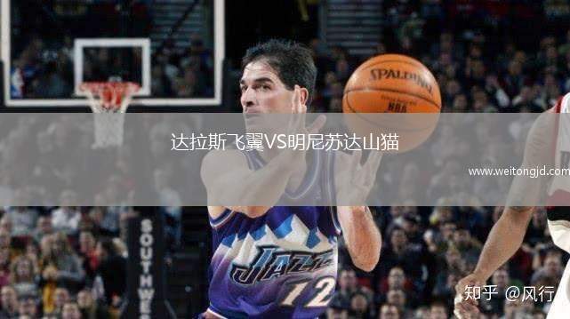 達拉斯飛翼VS明尼蘇達山貓
