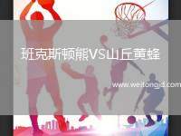 班克斯頓熊VS山丘黃蜂