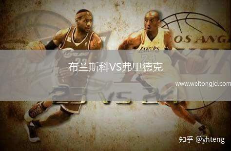 布蘭斯科VS弗里德克