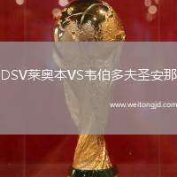 DSV萊奧本VS韋伯多夫圣安那