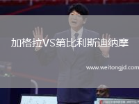 加格拉VS第比利斯迪納摩
