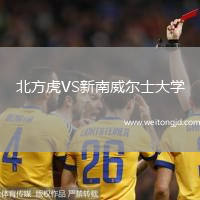 北方虎VS新南威爾士大學(xué)