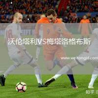 沃倫塔利VS梅塔洛格布斯
