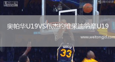 奧帕華U19VS布杰約維采迪納摩U19