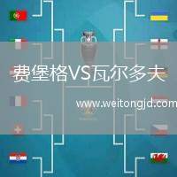 費堡格VS瓦爾多夫