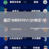 霍恩韋斯特特VS歐德堡SV