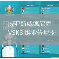 威亞斯威德尼克VSKS 維亞佐尼卡
