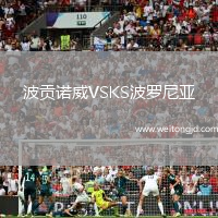 波貢諾威VSKS波羅尼亞