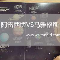 阿雷西博VS馬雅格斯